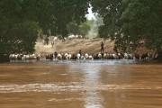 Ethiopia-The-Omo-Valley-Nyangaton-Tribe-004