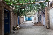 Chinas-Silk-Road-Turfan-086